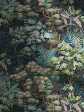 Load image into Gallery viewer, Canopy 02