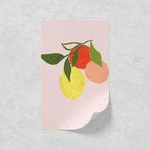 Load image into Gallery viewer, Fruit 01