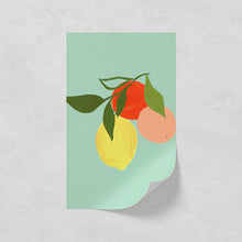 Load image into Gallery viewer, Fruit 02